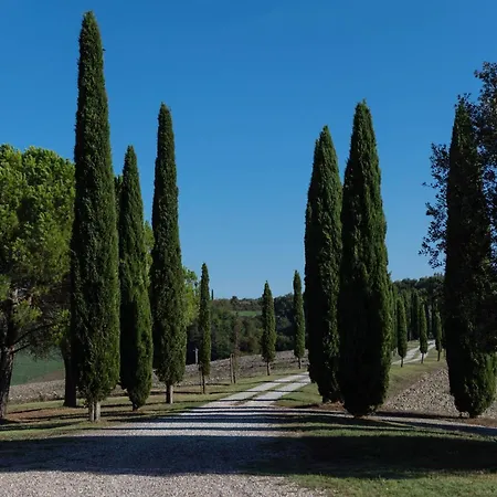 In Tuscan Hills * Siena
